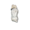 Albino Penis Envy